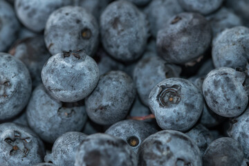 Close-up shot of delicious vibrant coloured blueberries