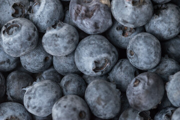 Close-up shot of delicious vibrant coloured blueberries