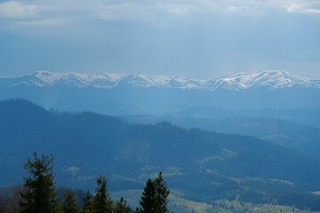 Obraz premium View of Carpathian Mountains in Ukraine, Polonina Borzhava