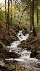 Hohes Venn eifel wasserfall Sawe Satte
