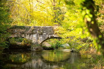 The old aqueduct bridge in the beautiful nature of autumn