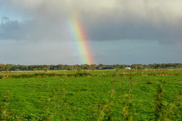 rainbow over the river