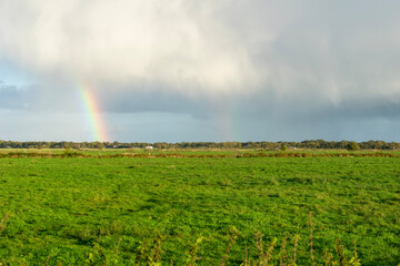 rainbow in the field