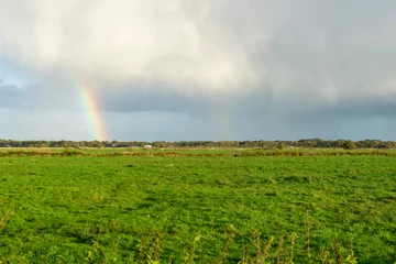 Fotobehang rainbow in the field © Bertigrafie