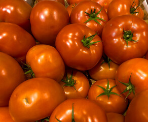plenty fresh red tomatoes with green stem, full frame, close up