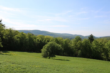 beautiful green field with hill in background