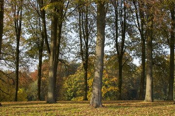 Bürgerpark | Landschaft im Frühherbst