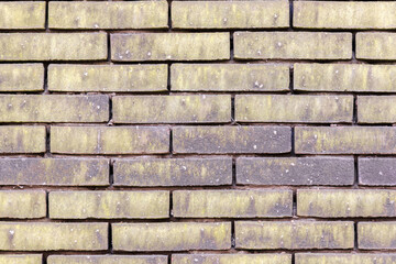 material texture of beige yellow brick wall