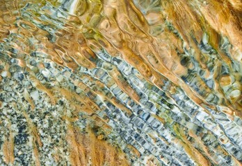 Abstract water background with ripple effect, underwater rock surface and brown plants.  
