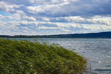 view of the lake and the sky with cumulus clouds