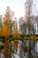 Fototapeta na wymiar autumn landscape with trees and pond