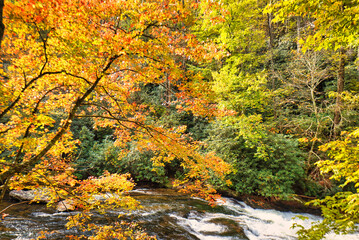 A beautiful mountain river in Western North Carolina, USA, in the fall with the fall colors.