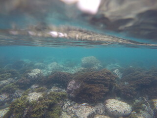 Fototapeta na wymiar Rocky reef of the Mexican Pacific. Arrecife rocoso del pacífico mexicano