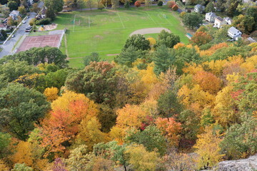 Obraz premium fall foliage