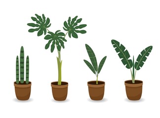 Set of house plants in flower pots. Potted plants set. Home garden with palms. Vector flat illustration.