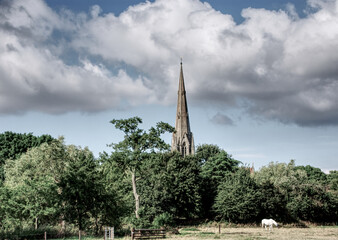 church tower above the trees
