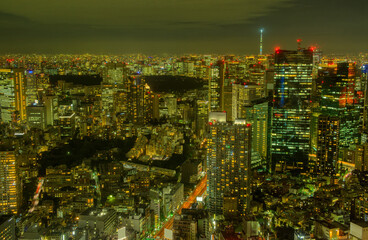 Fototapeta na wymiar 東京夜景　六本木から望む皇居 霞ヶ関　丸の内方面　2021