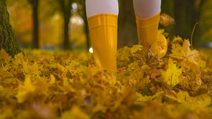 LOW ANGLE: Woman wearing yellow rubber boots kicks up dry fall colored leaves.
