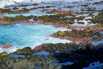 rough wild nord coast of sao miguel