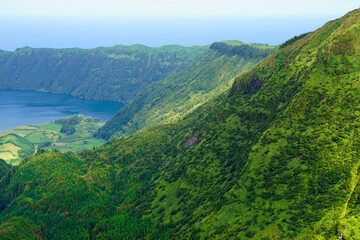 wild nature on the azores islands 