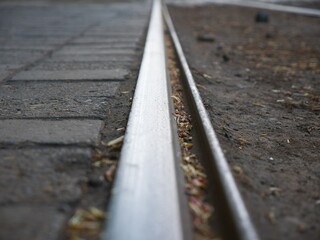 rail travel: rails close-up on a summer evening