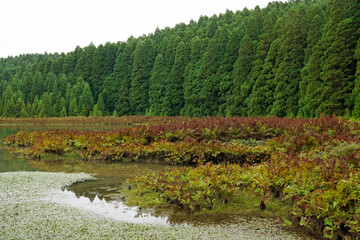 Canary Lagoon on the Azores Islands