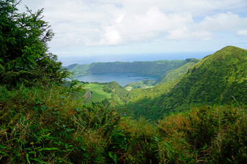 wild nature on the azores islands 
