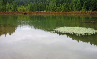 Canary Lagoon on the Azores Islands