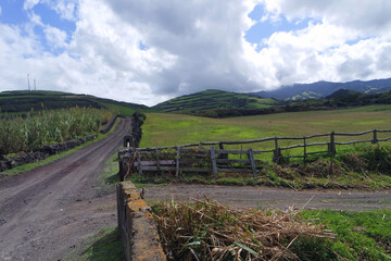 muddy path on the azores