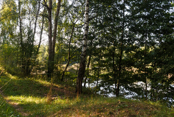 Early autumn in central Russia. Path in forest by the lake