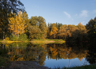 Autumn landscape in central Russia: .lake, yellow leaves, morning, sunny day