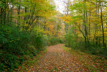 Autumn colors along a rural road in Western Maryland