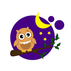 A cute owl sits on a branch at night