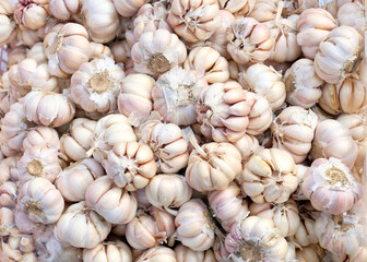 Garlic - close up detail of garlic. garlic in the basket