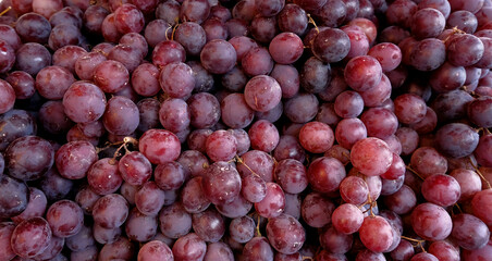 Grapes - Grapes in baskets in bulk. Close-up detail of grapes