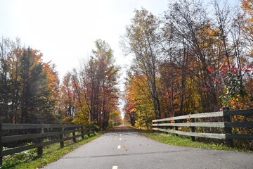 St Agapit-Levis in Autumn season