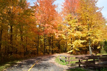 St Agapit-Levis in Autumn season