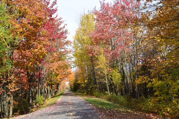 St Agapit-Levis in Autumn season