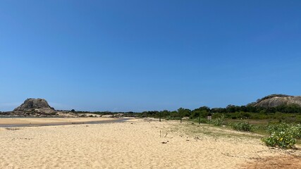 sand dunes and trees