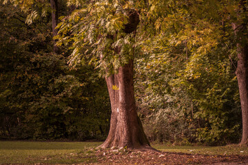 Herbst in der Stadft 