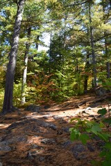 Lanaudiere region in southern Quebec 
