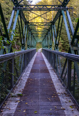 Bridge over a river creek on a hiking trail near Seymour Lake. North Vancouver, British Columbia, Canada.