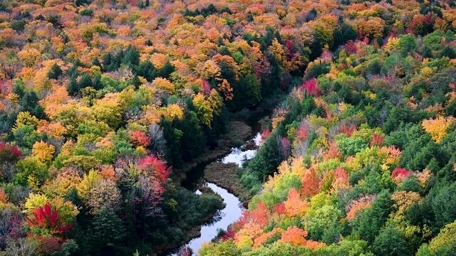 autumn in the mountains