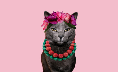 Frida cat. Handsome cat stylized like Frida Khalo wearing flowers on head