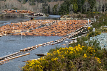 Log boom at the mouth of Jordan River on Vancouver Island, Canada