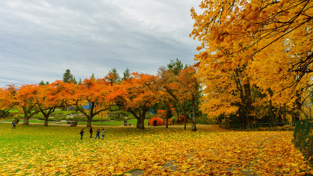 Admiring beautiful autumn colours at Burnaby Mountain Park on a cloudy day.
