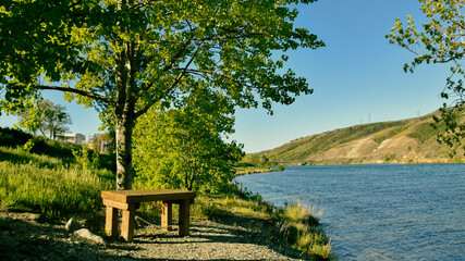 Obraz premium bench on the lake