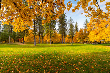 Falls colors on the trees during autumn at High Bridge Park in Spokane, Washington, USA.