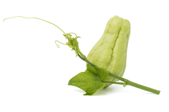 Fresh sayote with leaves and shoots isolated on white background