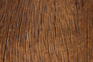 old wooden texture close up